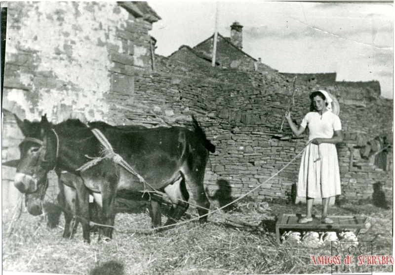 Mujer de Cillas con su ganado